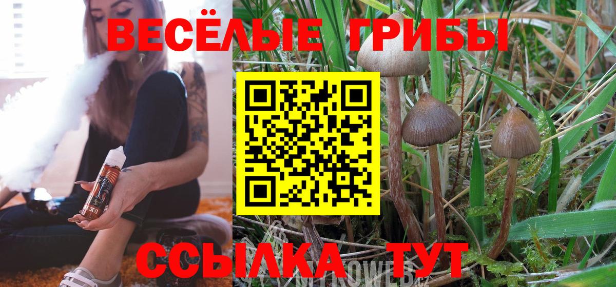 Псилоцибиновые грибы прущие грибы Павлово