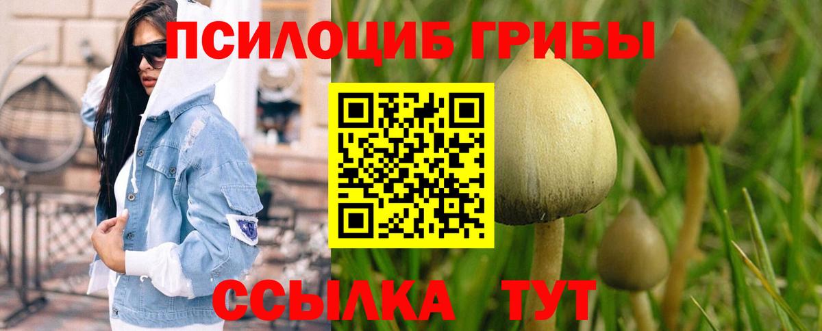 Псилоцибиновые грибы Magic Shrooms  Вход с VPN  Псилоцибиновые грибы Magic Shrooms  Павлово 